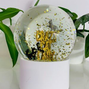 Crazy Cat Lady Glass Snow Globe